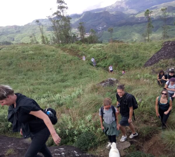 Shadow Trekkers Munnar