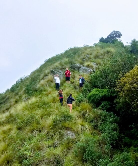 Top Valley Treklking