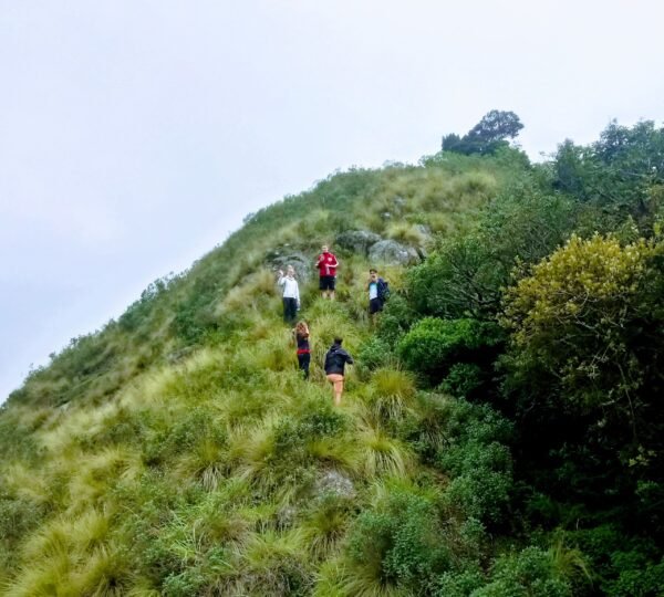 Shadow Trekkers Munnar