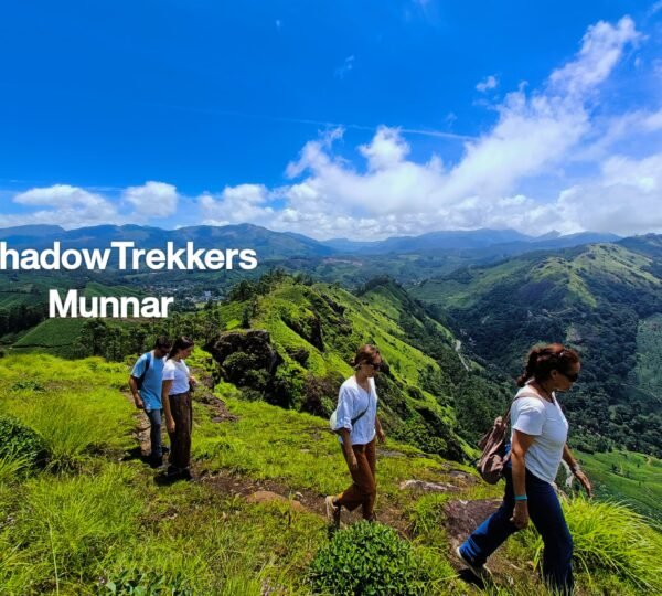 Shadow Trekkers Munnar