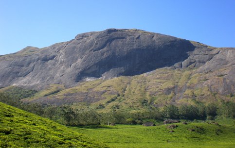 Anamudi Peak View