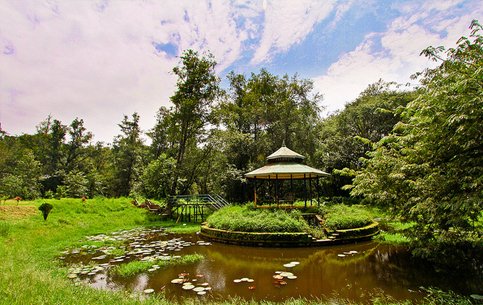 Blossom Park Munnar