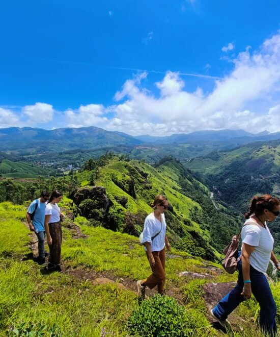 Day Trekking Tour