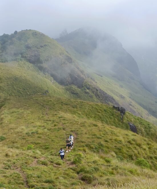 Day Trekking Tour