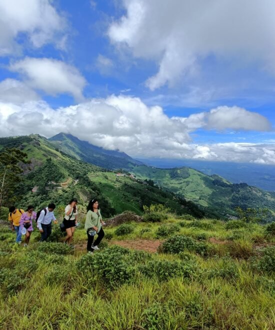 Day Trekking Tour