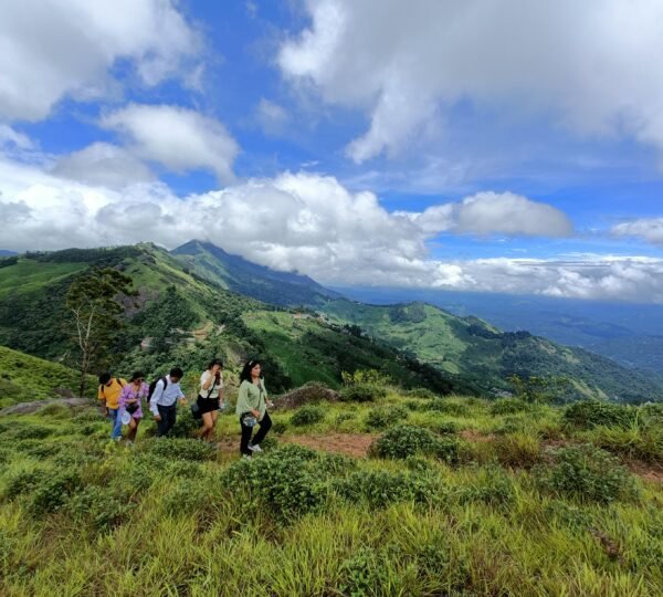 Shadow Trekkers Munnar