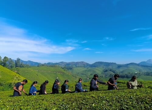 Munnar Sight Seeing Places