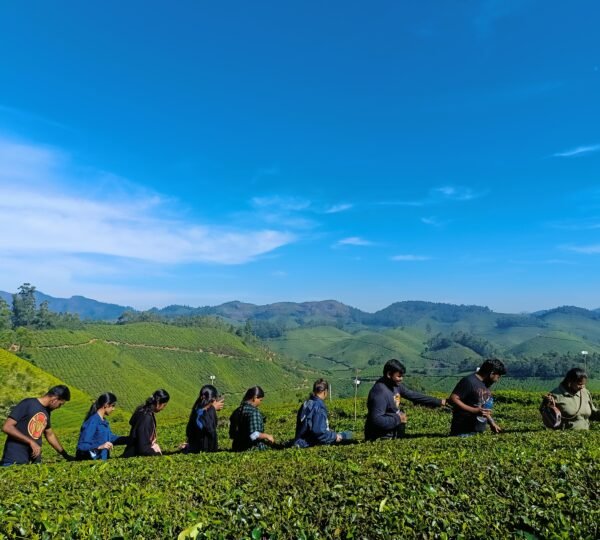 Shadow Trekkers Munnar