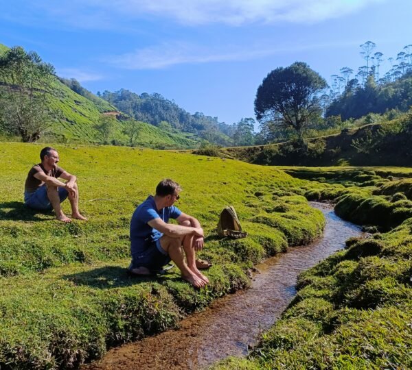 Shadow Trekkers Munnar