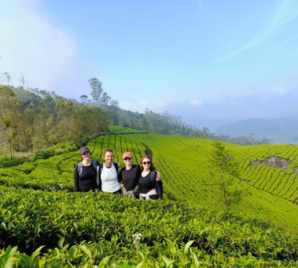 Shadow Trekkers Munnar