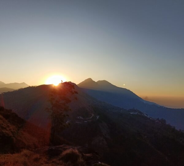 Shadow Trekkers Munnar